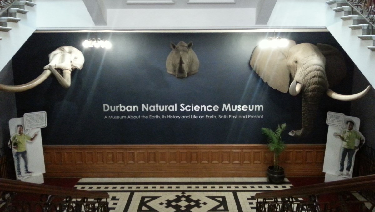 Durban's natural museum lobby